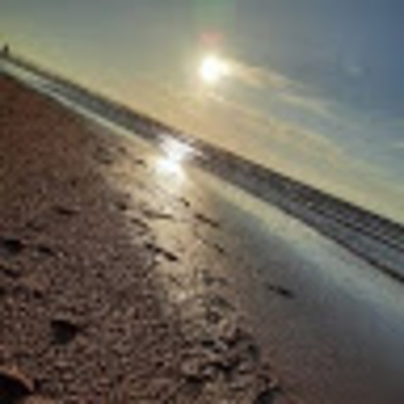 Meet your Posher, Maxwell - Picture 1 of 1